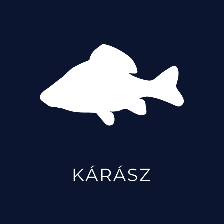 karasz-2