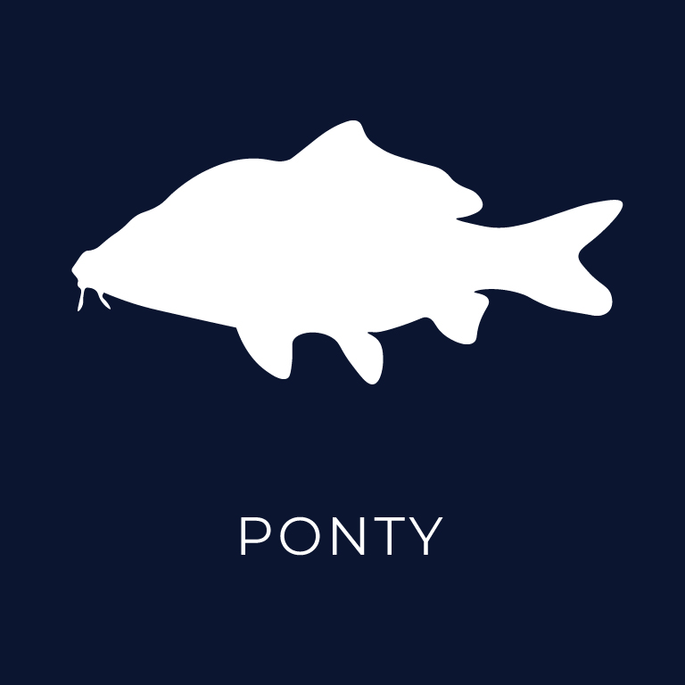 ponty-2