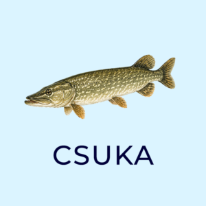 csuka 2