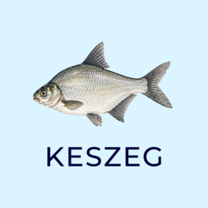 keszeg 2