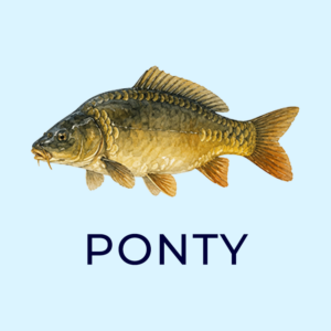 ponty 2