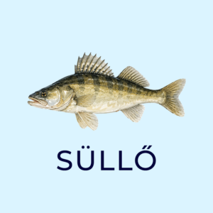sullo 2